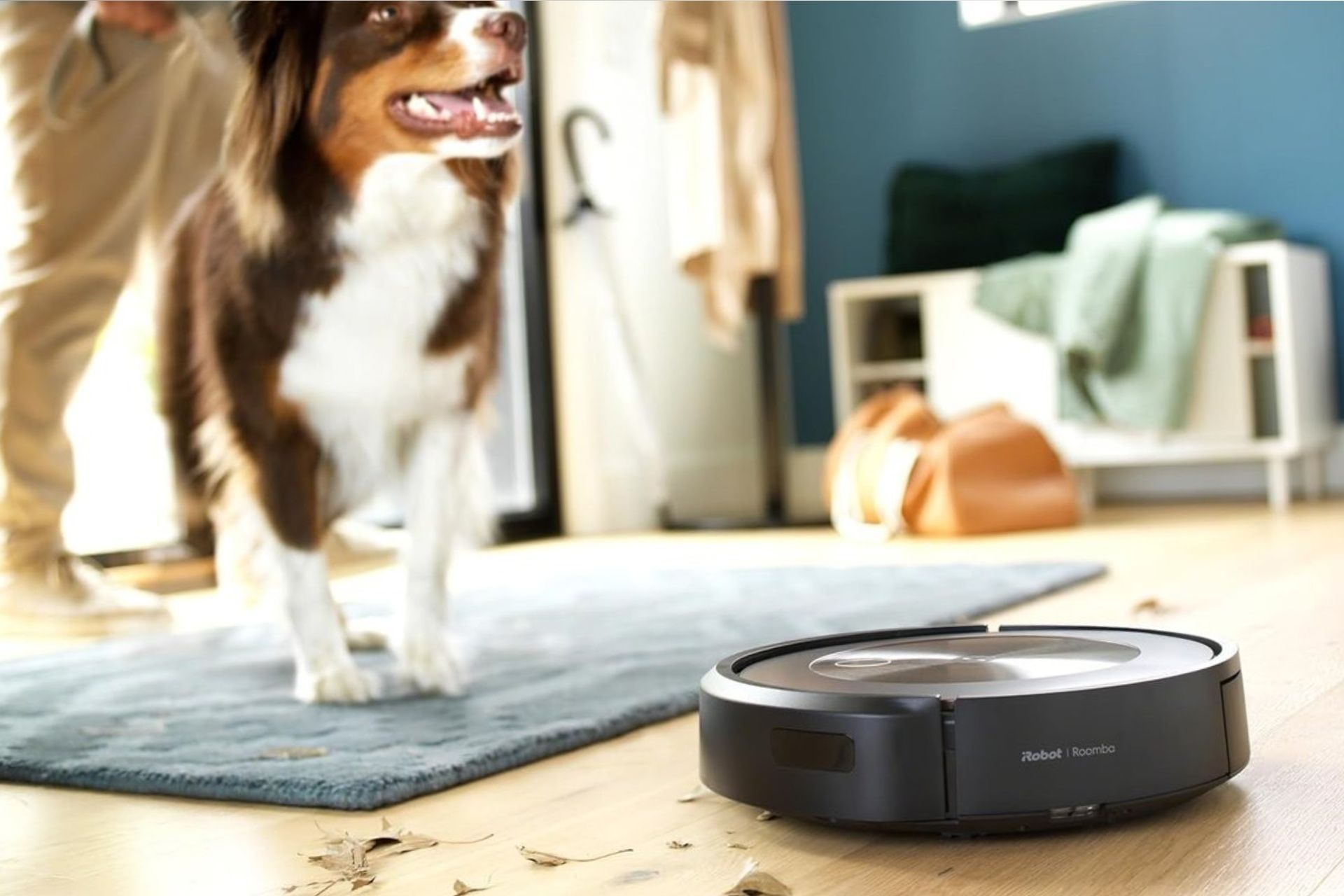 Can Robot Vacuums Climb Stairs